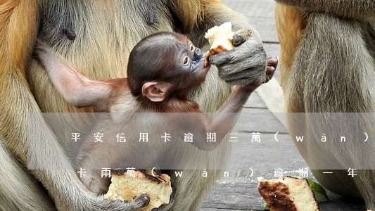 平安信用卡逾期三萬(wàn)多(平安信用卡兩萬(wàn)逾期一年)