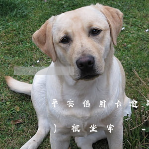 平安信用卡逾期三萬(wàn)會(huì)被坐牢嗎-平安信用卡逾期三萬(wàn)會(huì)被坐牢嗎知乎