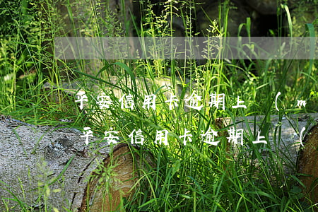 平安信用卡逾期上門(mén)可以拒絕嗎(平安信用卡逾期上門(mén)可以拒絕嗎嗎)