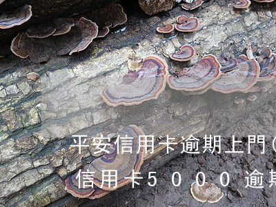 平安信用卡逾期上門(mén)貼公告(平安信用卡5000逾期會(huì)上門(mén)嗎平安)