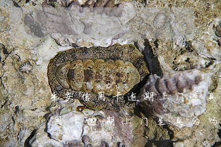 平安信用卡逾期上门是真的吗上海-平安信用卡逾期上门是真的吗上海