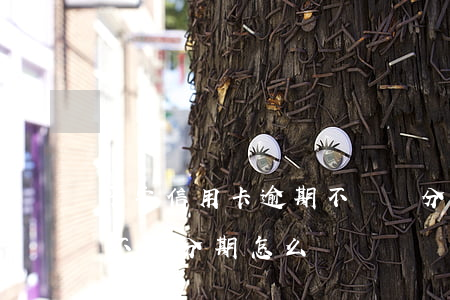 平安信用卡逾期不給辦分期怎么辦(平安銀行不能分期怎么辦)