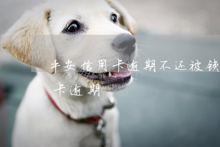 平安信用卡逾期不还被锁卡吗(平安银行信用卡逾期)