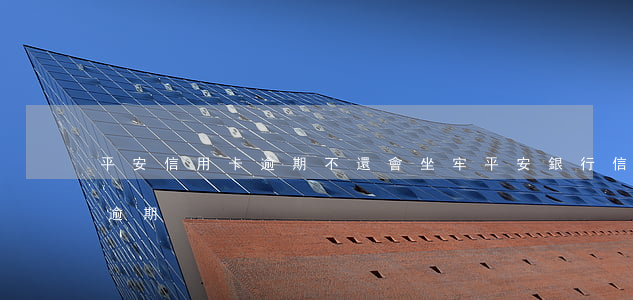 平安信用卡逾期不還會坐牢(平安銀行信用卡 逾期)