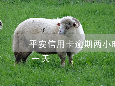 平安信用卡逾期两小时换完(平安信用卡 逾期一天)