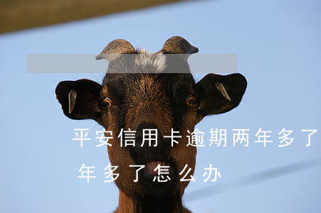 平安信用卡逾期两年多了(平安信用卡逾期两年多了怎么办)