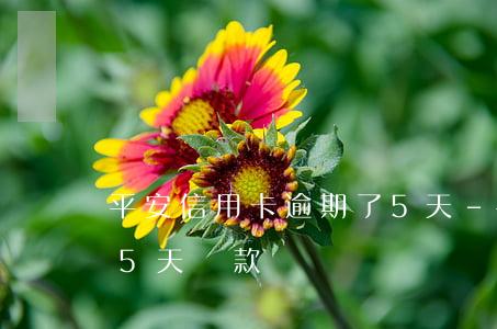 平安信用卡逾期了5天-平安信用卡逾期了5天還款