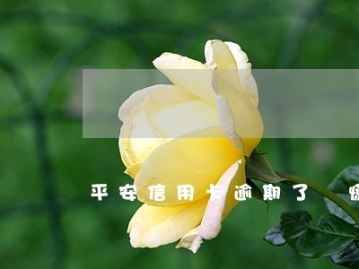 平安信用卡逾期了別慌(平安貸貸卡逾期怎么辦)