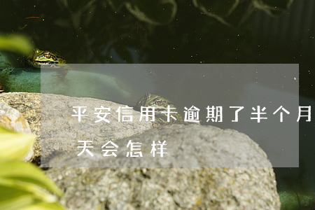 平安信用卡逾期了半个月(平安信用卡逾期三天会怎样)