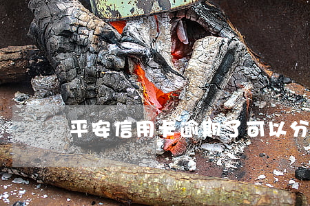 平安信用卡逾期了可以分期嗎