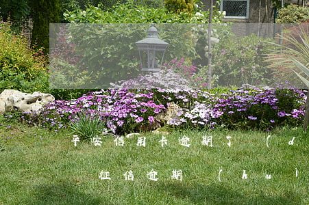 平安信用卡逾期了對(duì)征信有影響嗎(征信逾期會(huì)影響信用卡嗎)