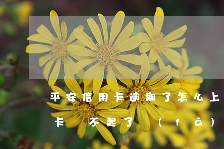平安信用卡逾期了怎么上岸(欠平安銀行信用卡還不起了,發(fā)信息來(lái)說(shuō)已申請(qǐng)現(xiàn)高令)