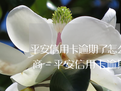 平安信用卡逾期了怎么和銀行協(xié)商-平安信用卡逾期了怎么和銀行協(xié)商還款
