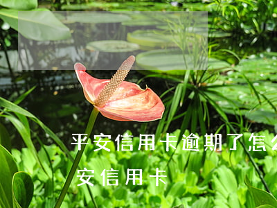 平安信用卡逾期了怎么申請撤銷(怎樣撤銷平安信用卡)