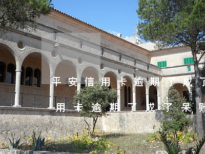 平安信用卡逾期了成了呆账怎么办-平安信用卡逾期了成了呆账怎么办呢