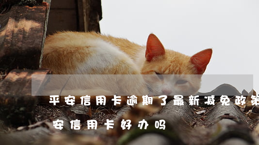 平安信用卡逾期了最新减免政策吗(有逾期平安信用卡好办吗)