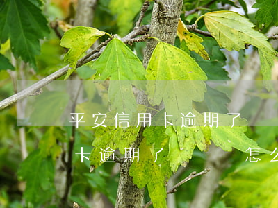 平安信用卡逾期了沒錢還怎么辦-平安信用卡逾期了沒錢還怎么辦呢
