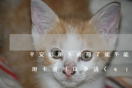 平安信用卡逾期了能不能辦理(有平安銀行信用卡還可以申請(qǐng)嗎)