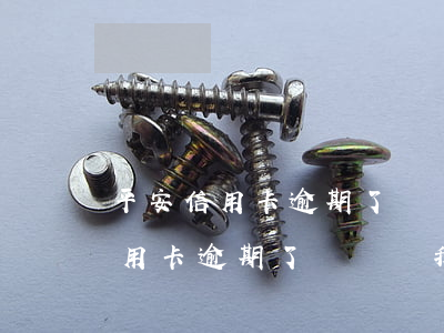 平安信用卡逾期了說凍結我的家產-平安信用卡逾期了說凍結我的家產怎么辦