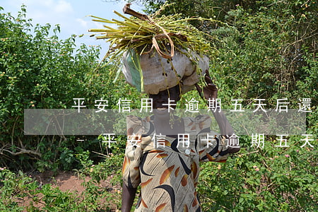 平安信用卡逾期五天后還款了會影響征信嗎-平安信用卡逾期五天后還款了會影響征信嗎
