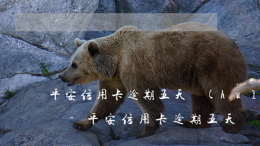 平安信用卡逾期五天會(huì)拉黑名單嗎-平安信用卡逾期五天會(huì)拉黑名單嗎怎么辦