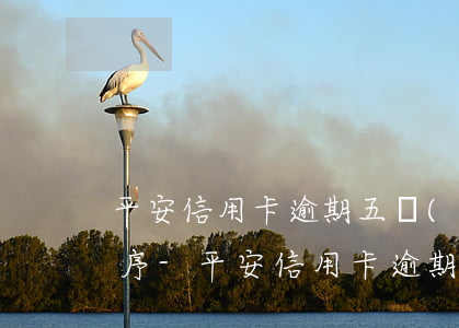 平安信用卡逾期五萬(wàn)以上司法程序-平安信用卡逾期五萬(wàn)以上司法程序是什么