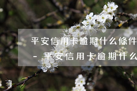 平安信用卡逾期什么條件會(huì)立案-平安信用卡逾期什么條件會(huì)立案呢