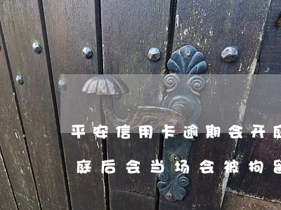 平安信用卡逾期会开庭吗(平安信用卡起诉开庭后会当场会被拘留吗)