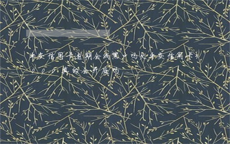平安信用卡逾期会成黑户吗(欠平安信用卡3000真的会开庭吗)