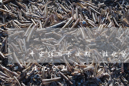 平安信用卡逾期個性化分期(平安銀行拒絕個性化分期)