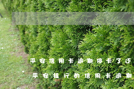 平安信用卡逾期停卡了还可以最低还款吗?-平安银行的信用卡逾期没有还会怎么样