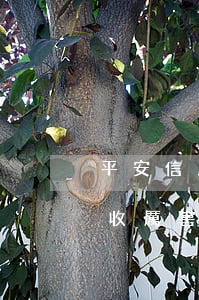 平安信用卡逾期催收厲害(平安信用卡逾期催收厲害么)