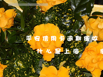 平安信用卡逾期催收說拘留(平安銀行逾期后為什么是上海電話催收)