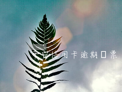 平安信用卡逾期傳票