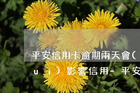 平安信用卡逾期兩天會(huì)不會(huì)影響信用?-平安信用卡逾期兩天會(huì)不會(huì)影響信用卡額度