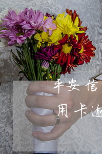 平安信用卡逾期兩天會不會上征信-平安信用卡逾期兩天會不會上征信記錄