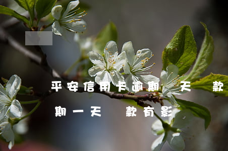 平安信用卡逾期兩天還款(平安銀行信用卡逾期一天還款有影響嗎)