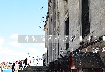 平安信用卡逾期兩年了還清了(平安銀行信用卡1萬(wàn)逾期兩年)