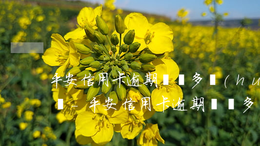 平安信用卡逾期兩萬多會(huì)被起訴嗎-平安信用卡逾期兩萬多會(huì)被起訴嗎知乎