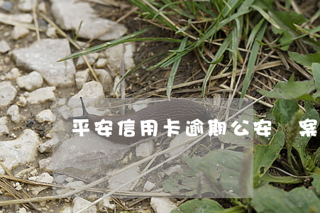 平安信用卡逾期公安備案