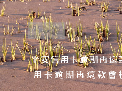 平安信用卡逾期再還款會被起訴嗎-平安信用卡逾期再還款會被起訴嗎知乎
