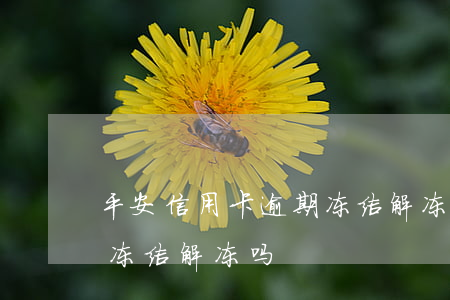 平安信用卡逾期冻结解冻吗(平安信用卡逾期冻结解冻吗)