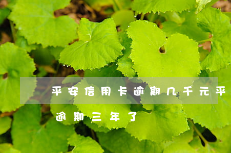 平安信用卡逾期几千元(平安信用卡1w额度逾期三年了)