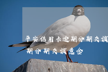 平安信用卡逾期分期交诚意金(平安信用卡逾期分期交诚意金)