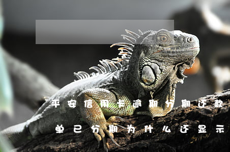 平安信用卡逾期分期还款吗(平安的信用卡账单已分期为什么还显示未还)