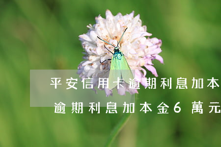 平安信用卡逾期利息加本金6萬(平安信用卡逾期利息加本金6萬元)