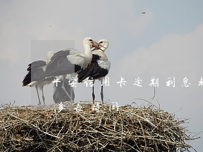 平安信用卡逾期利息超高(平安信用卡能逾期多长时间?)