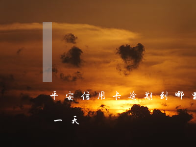 平安信用卡逾期到哪里立案(平安信用卡 逾期一天)