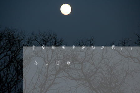 平安信用卡逾期加我qq(平安信用卡逾期會怎樣處理)