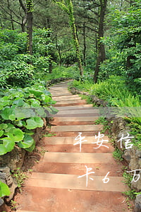 平安信用卡逾期半年了可以分期吗(平安信用卡6万逾期三个月,先还两万可以吗)